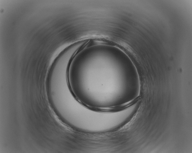 X0000070881030200606231337