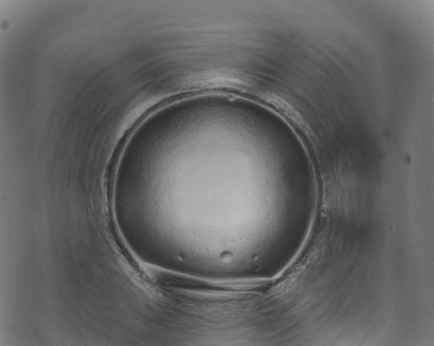 X0000070881031200606231337