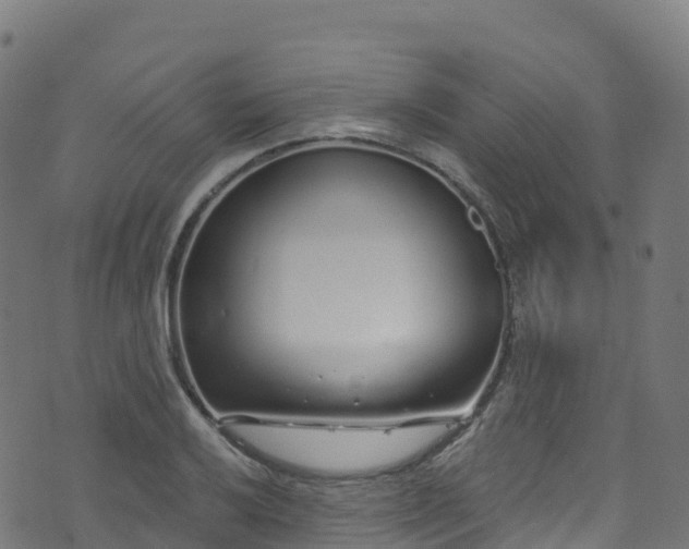 X0000070881032200606231337