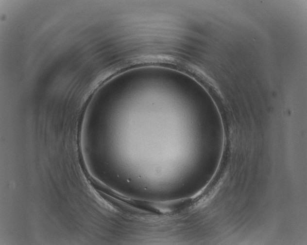 X0000070881033200606231338