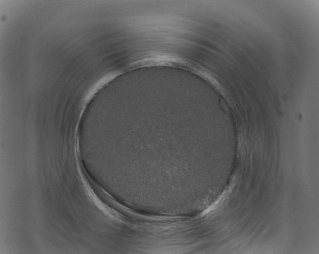 X0000070881034200606231338