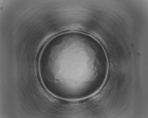 X0000070881035200606231338