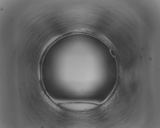 X0000070881036200606231338