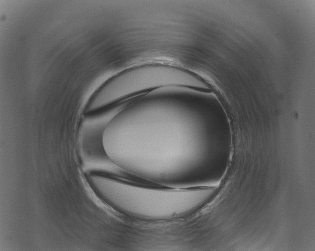 X0000070881038200606231338