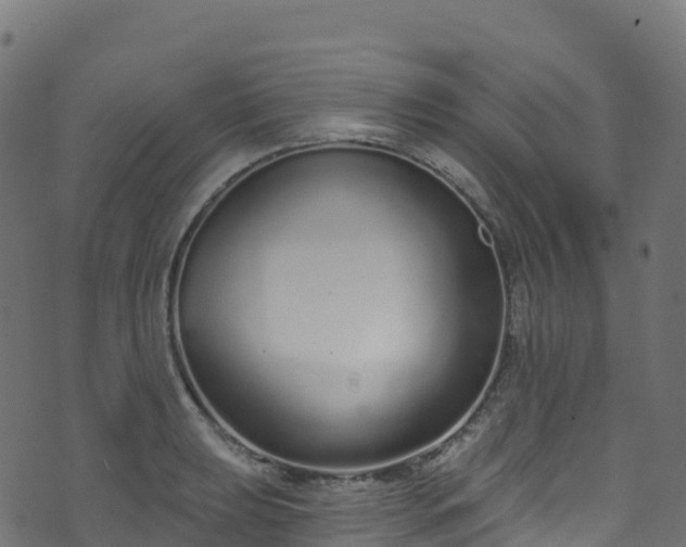 X0000070881039200606231338