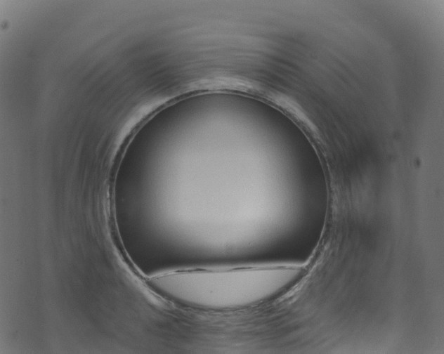 X0000070881040200606231338