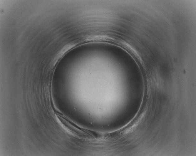 X0000070881041200606231338