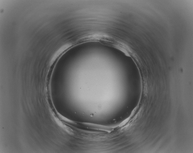 X0000070881042200606231338