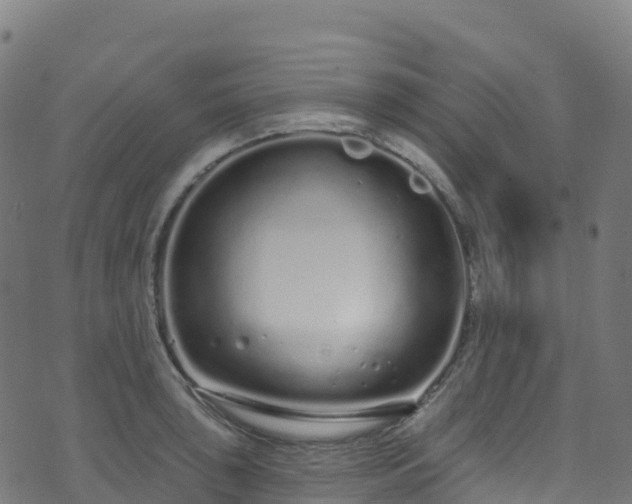 X0000070881043200606231338