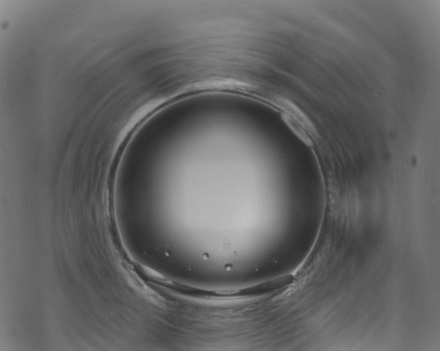 X0000070881044200606231338