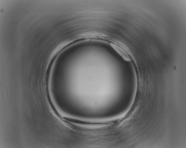 X0000070881045200606231338