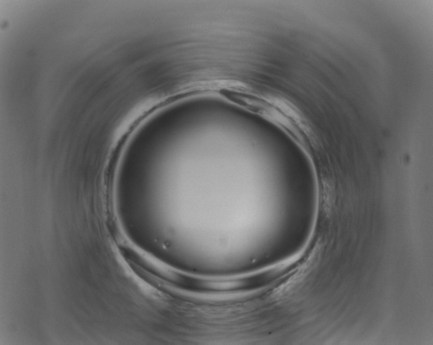 X0000070881046200606231338