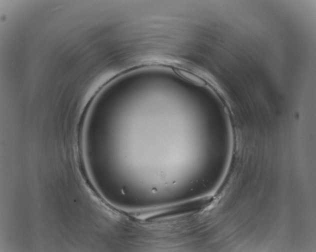 X0000070881048200606231338