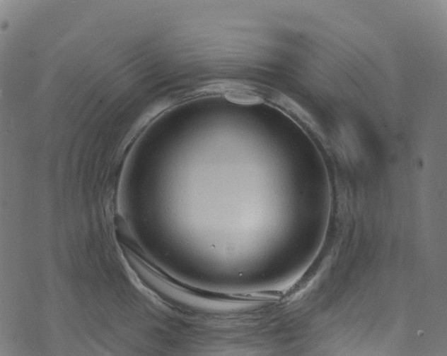 X0000070881049200606231338