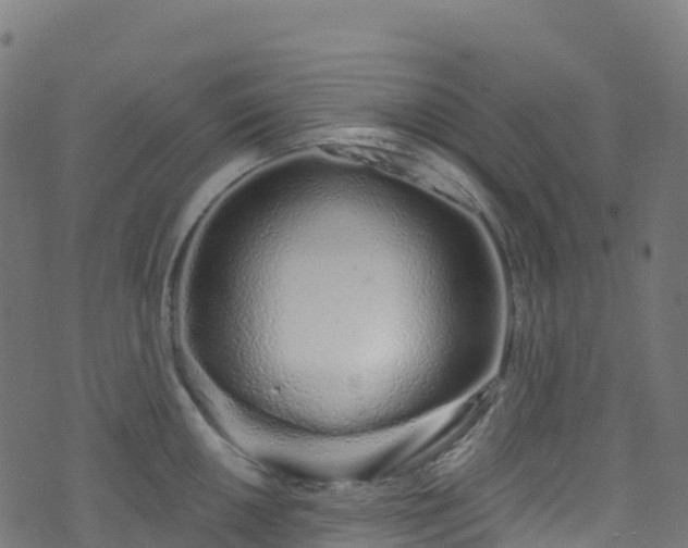 X0000070881050200606231338