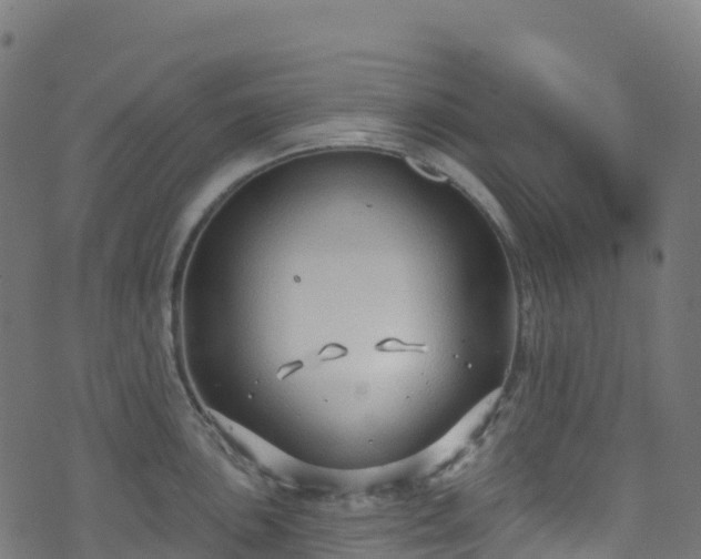 X0000070881051200606231338