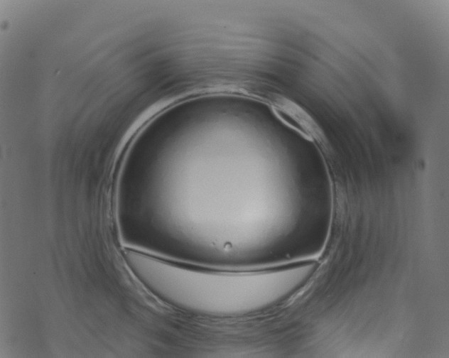 X0000070881052200606231338