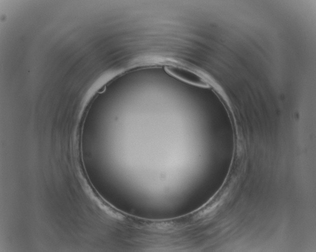 X0000070881053200606231338