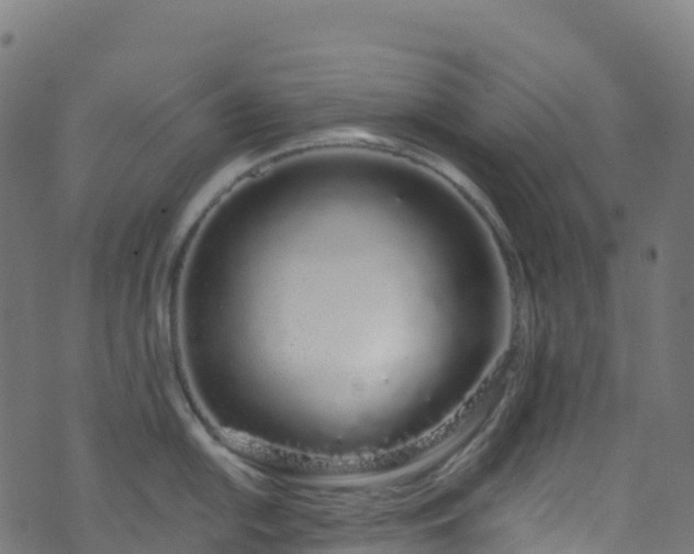 X0000070881054200606231338