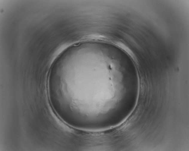 X0000070881055200606231338