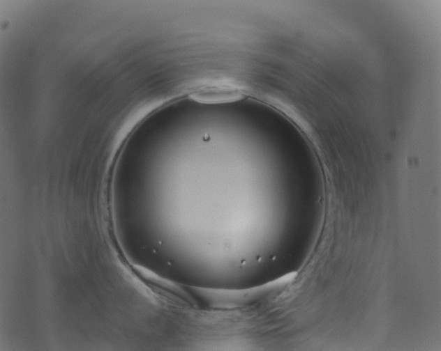 X0000070881056200606231338