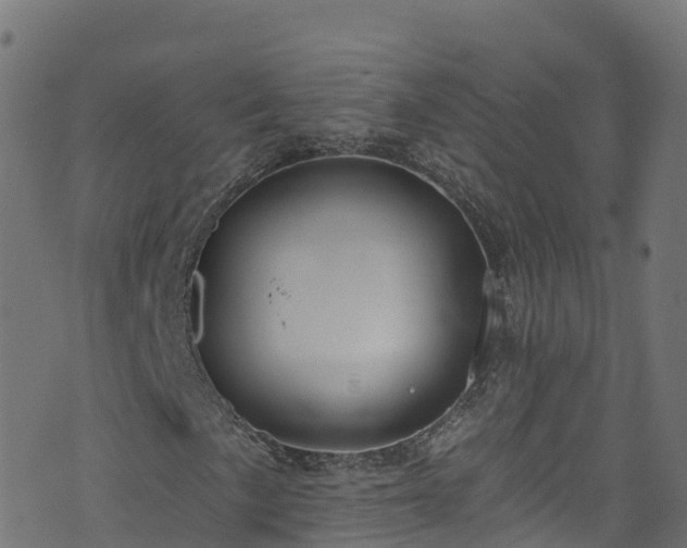 X0000070881057200606231337