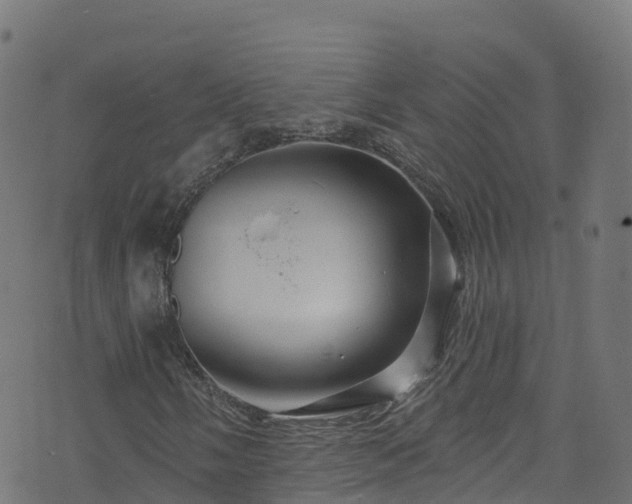 X0000070881058200606231337