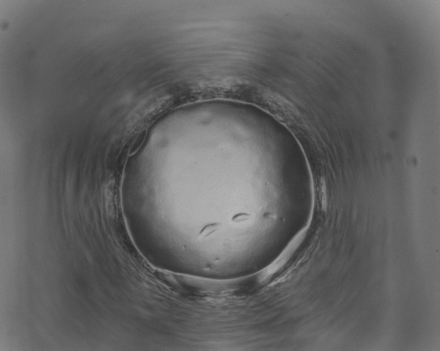 X0000070881059200606231337