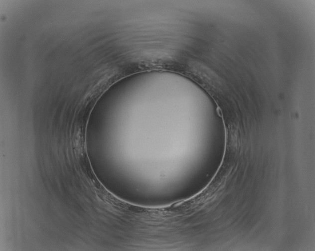 X0000070881060200606231337