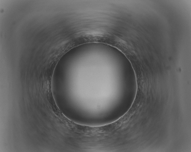 X0000070881061200606231337