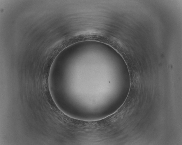 X0000070881062200606231337