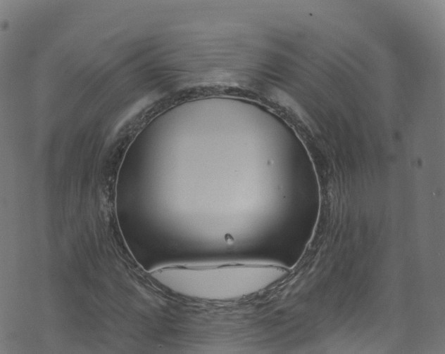 X0000070881064200606231337