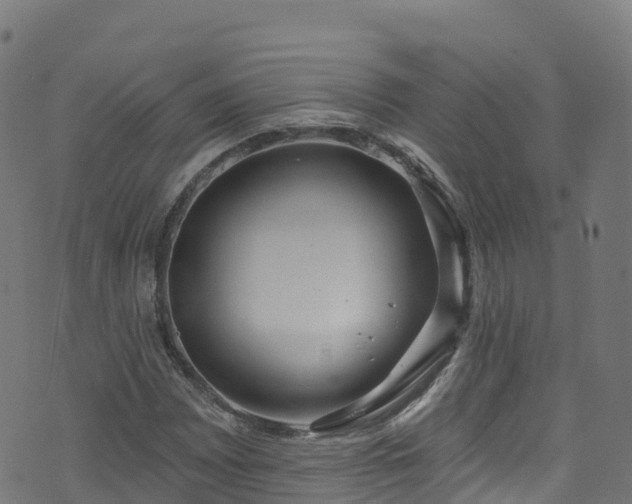 X0000070881065200606231337