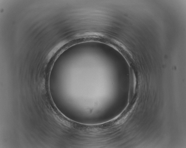 X0000070881066200606231337