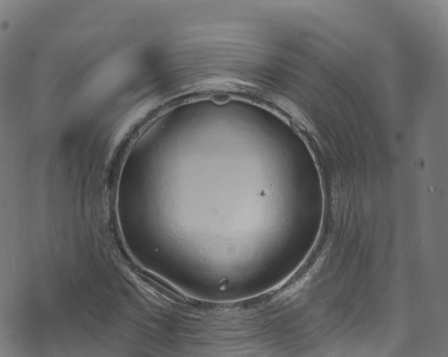 X0000070881067200606231337