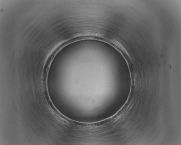 X0000070881068200606231337