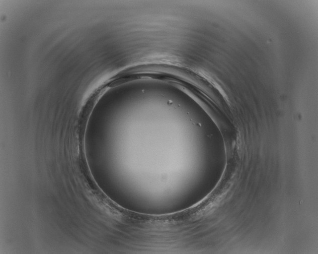 X0000070881069200606231337