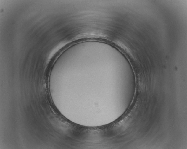 X0000070881070200606231337