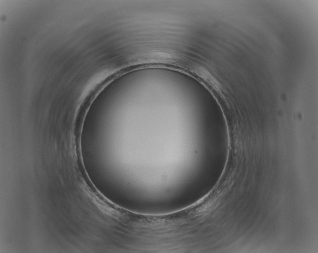 X0000070881072200606231337