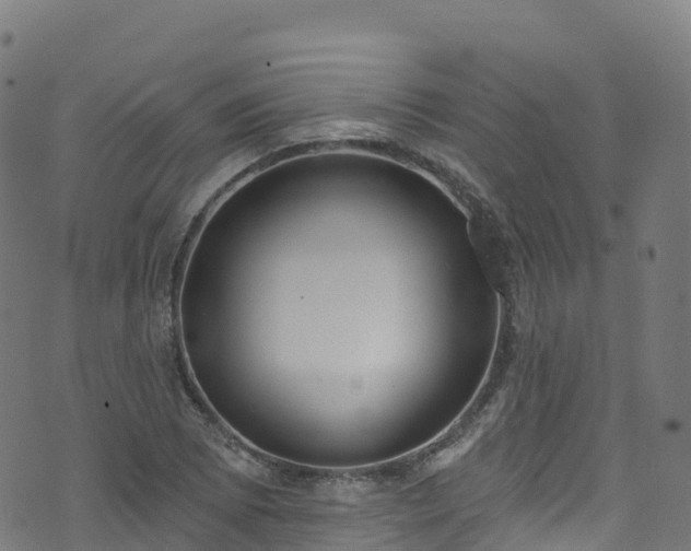 X0000070881073200606231337