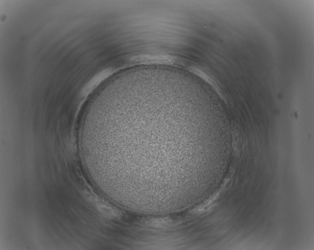 X0000070881074200606231337