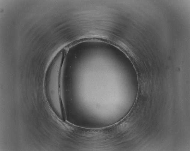 X0000070881076200606231337