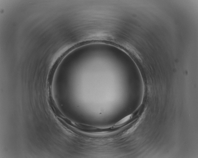 X0000070881077200606231337