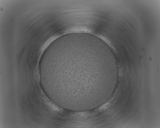 X0000070881078200606231337