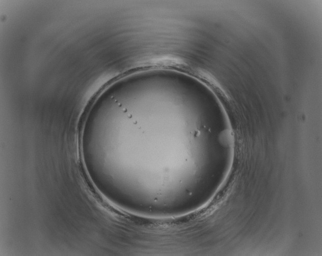 X0000070881079200606231337