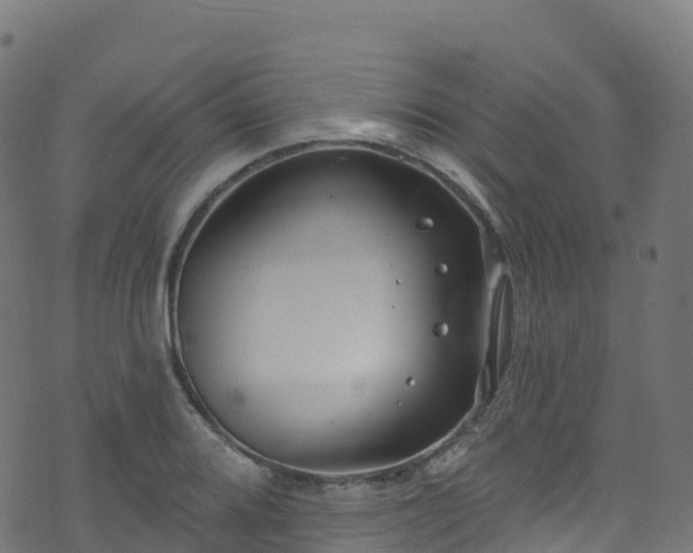 X0000070881080200606231337