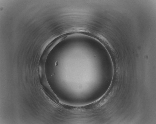 X0000070881081200606231337