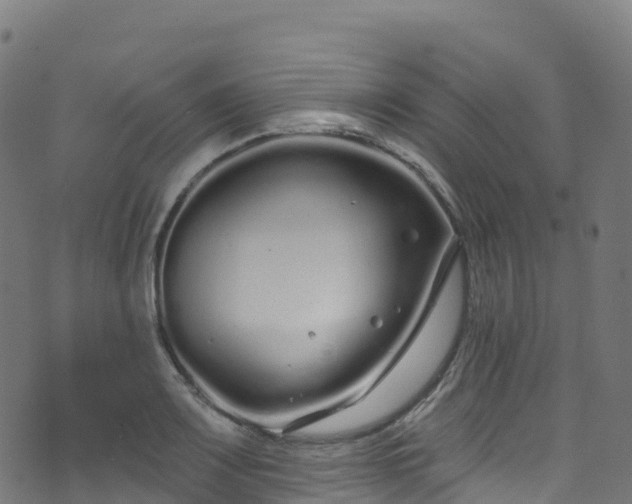 X0000070881083200606231337