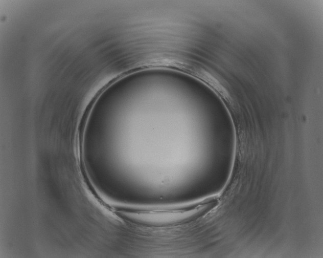 X0000070881084200606231337