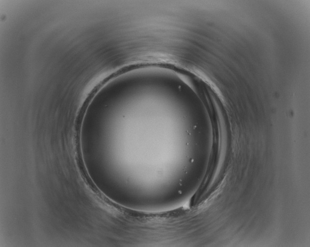 X0000070881085200606231337